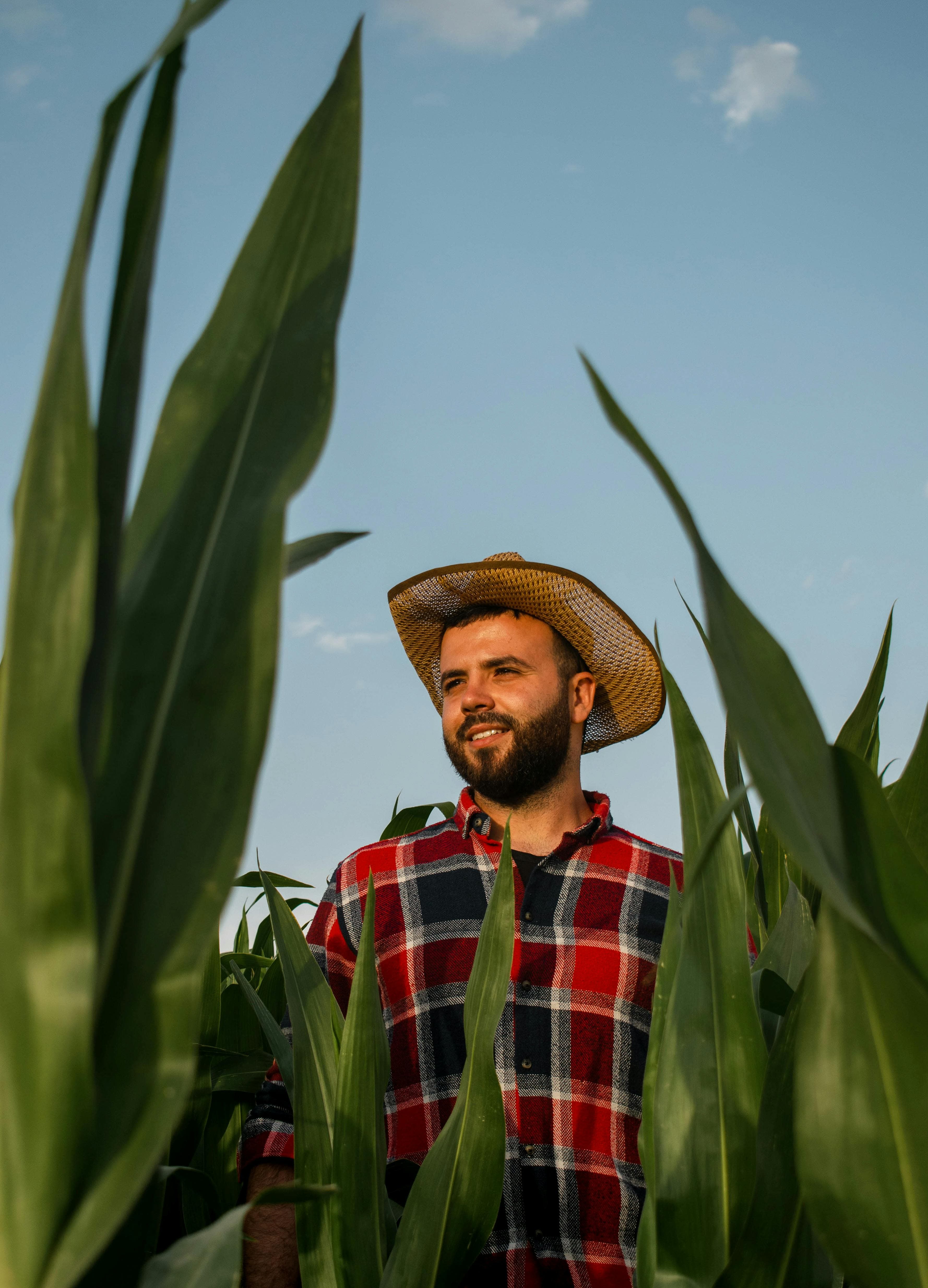 Experienced farmer working in the field