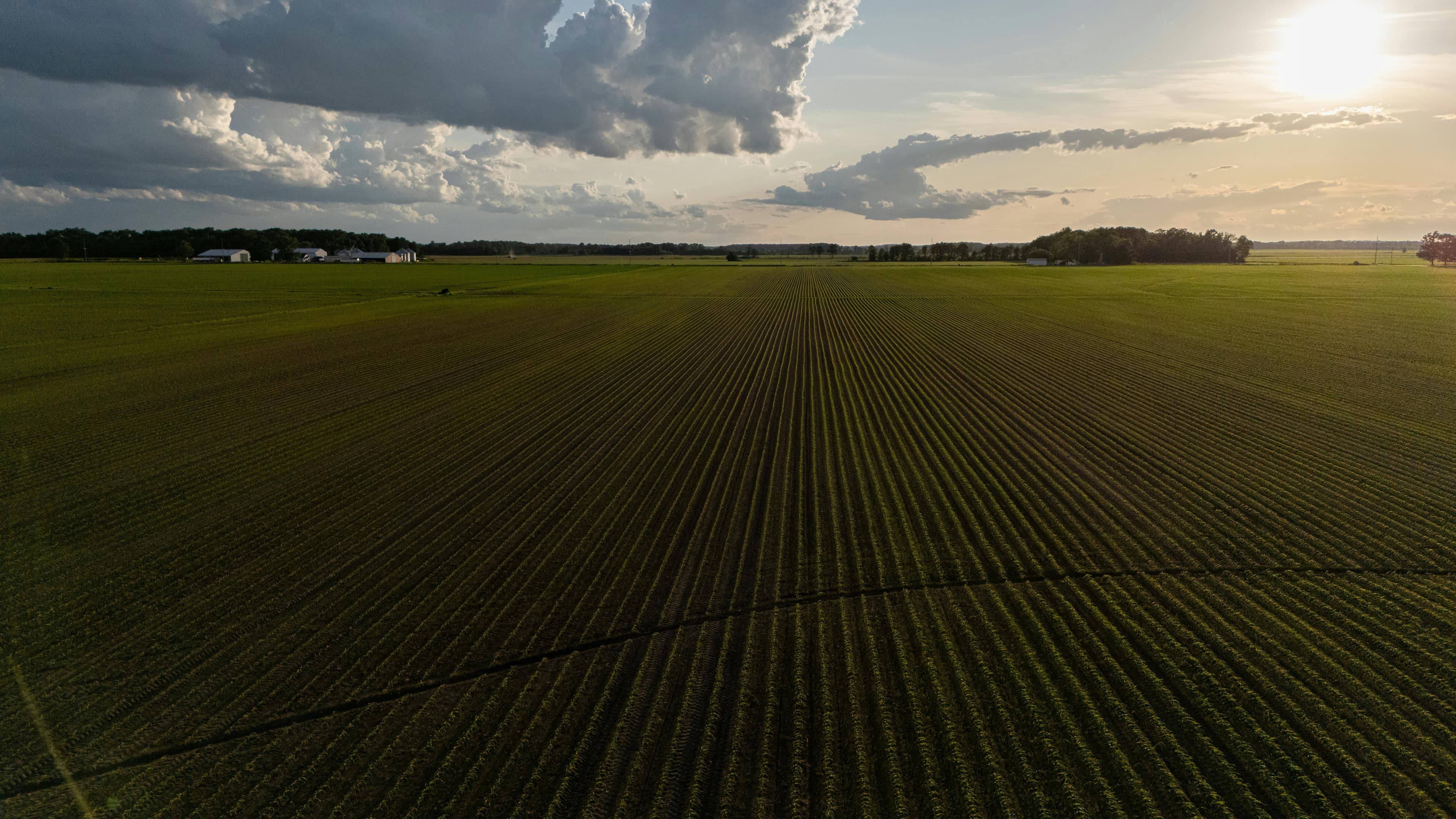 Green Valley Farms organic farmland view 1