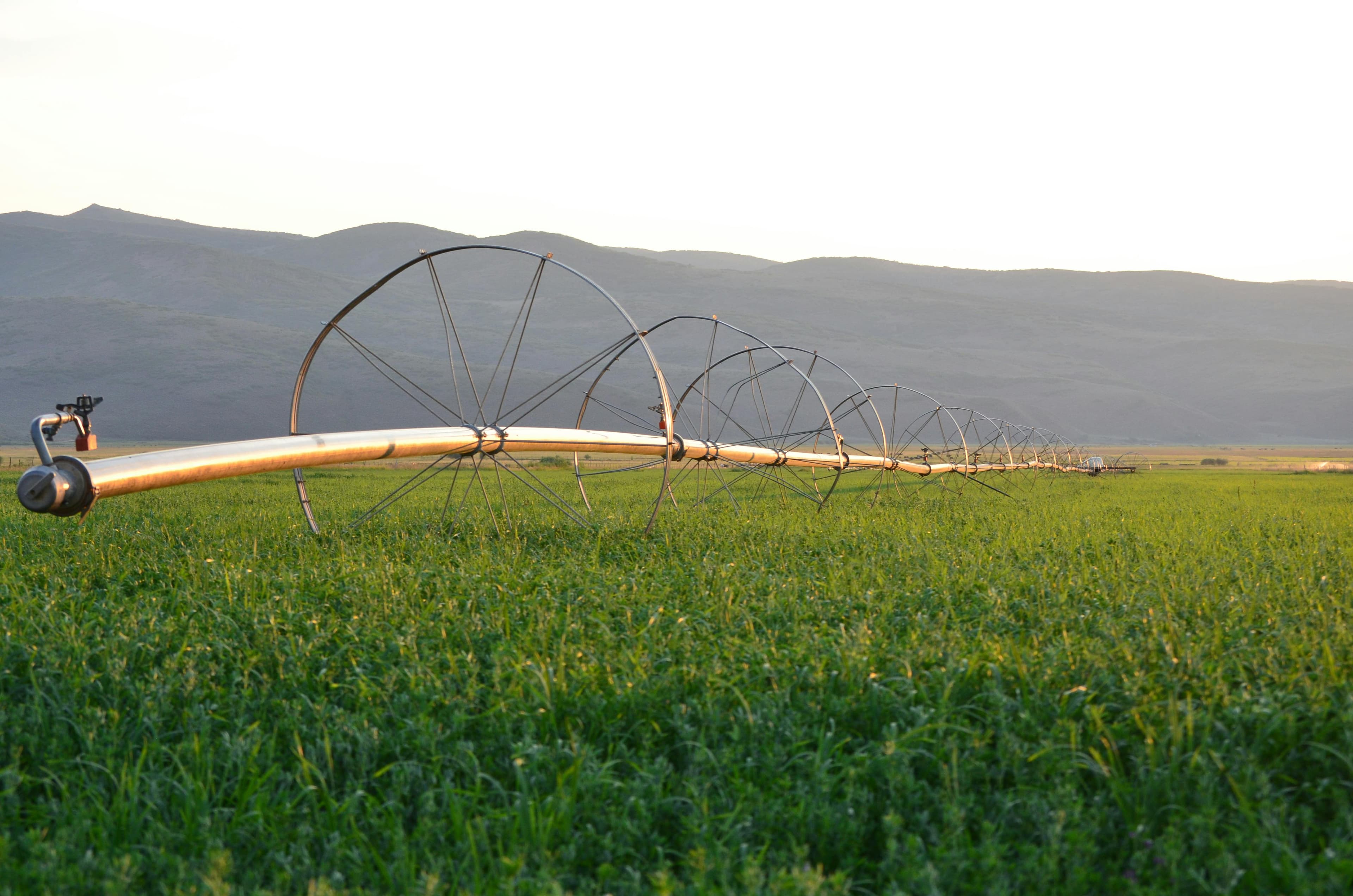 Green Valley Farms organic farmland view 4
