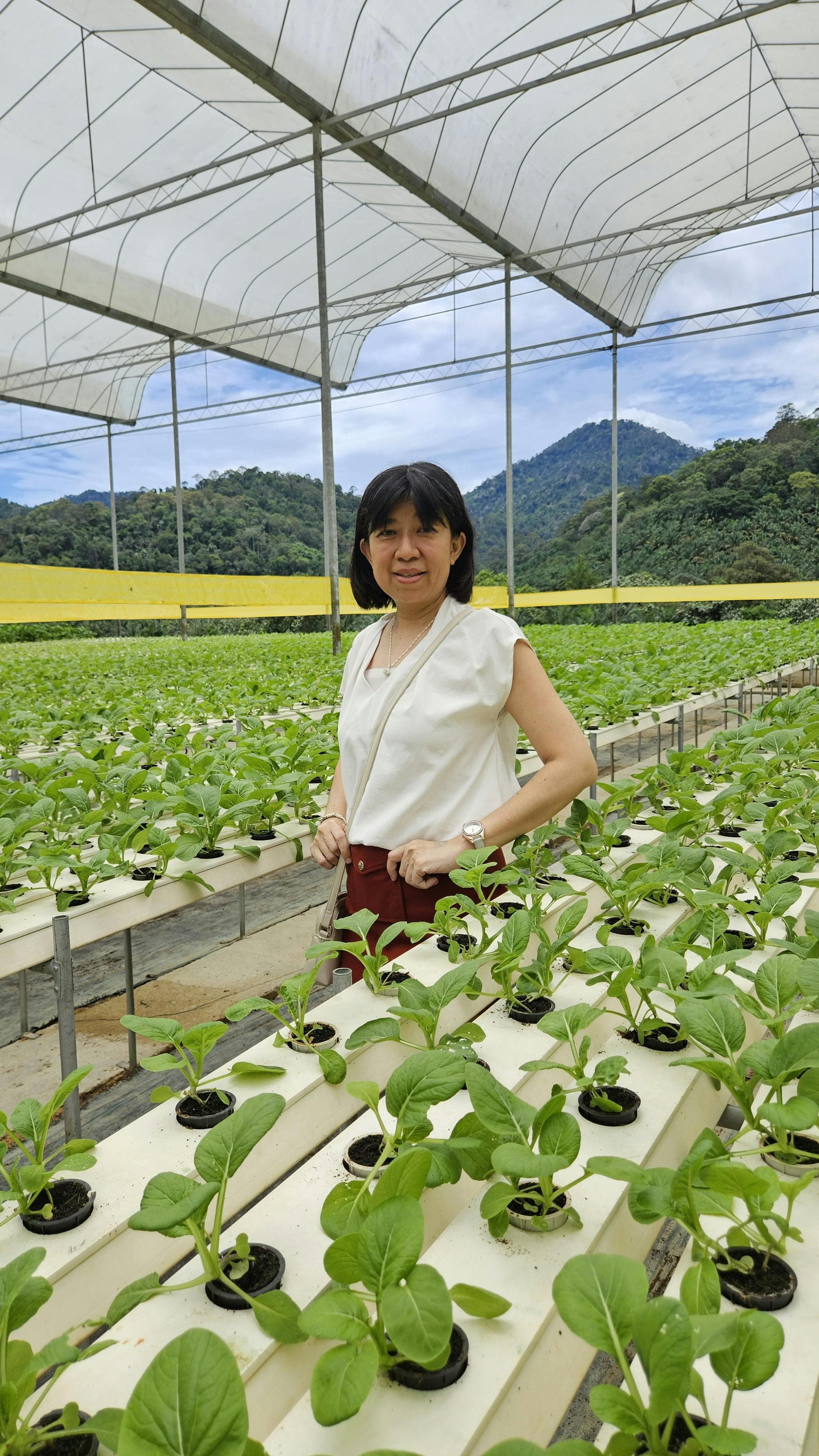 Sarah Mitchell, Head of Agricultural Innovation at Green Valley Farms